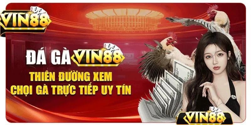 Các thể loại đá gà Vin88 nổi tiếng
