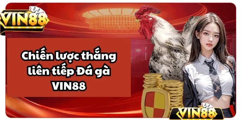 Chiến lược thắng liên tiếp trong cược Đá gà VIN88